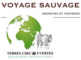 Voyage Sauvage